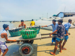 হাসিমুখে ফিরছে জেলেরা