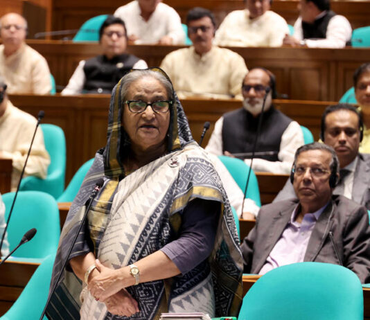 ‘এমপিদের কারণে উন্নয়ন তৃণমূল পর্যন্ত পৌঁছে দিতে পেরেছি’