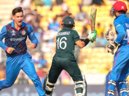 পাকিস্তানকে হারিয়ে আফগানিস্তানের ইতিহাস