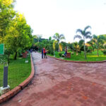 স্লিগ্ধ সবুজে নির্মলতার ছোঁয়া