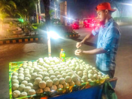 নগরে মিলছে পুষ্টিগুণে ভরা কতবেল