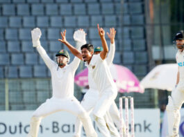 উইলিয়ামসনের সেঞ্চুরি ছাপিয়ে লিডের কাছে বাংলাদেশ