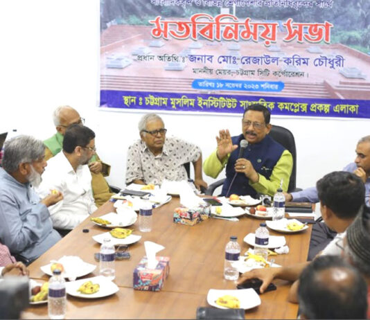 বিজয় দিবসের আগে শহীদ মিনার দৃশ্যমান হবে : মেয়র