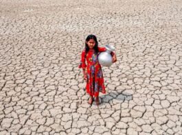 জলবায়ু পরিবর্তন, পরিস্থিতি মোকাবিলায় প্রস্তুতি দরকার