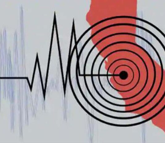 ভূমিকম্পের ক্ষয়ক্ষতি কমাতে সবধরনের প্রস্তুতি দরকার