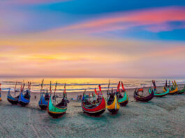 ২০২৪ এবং একগুচ্ছ সম্ভাবনার হাতছানি