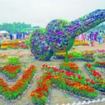 মাদকের আখড়া এখন ফুলের কাননে পরিণত