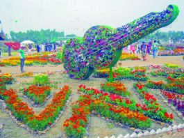 মাদকের আখড়া এখন ফুলের কাননে পরিণত