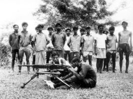 আলফু মিয়ার যুদ্ধজয়