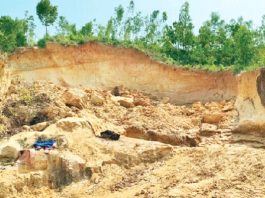 মেয়রের বক্তব্যে জনমতের প্রতিফলন আছে