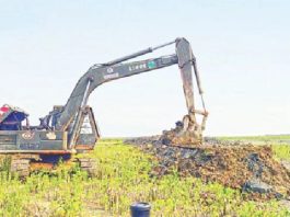 সোনাদিয়ায় গাছ কেটে মাছ চাষ, নির্বিকার প্রশাসন