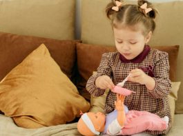 জিমির সংসার