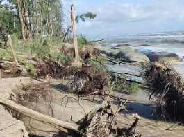 কক্সবাজার সমুদ্র সৈকতে তীব্র হচ্ছে ভাঙন