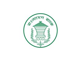 ২ বিলিয়ন ডলার ওভারডিউ পেমেন্ট পরিশোধে বেসরকারি ব্যাংকগুলোর সহায়তা চায় কেন্দ্রীয় ব্যাংক