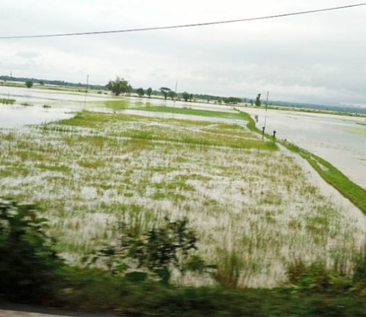 বৃষ্টির পানিতে ডুবলো রাঙ্গুনিয়ার গুমাইবিল