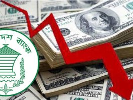 ২০২৩-২৪ অর্থবছরে দেশে বিদেশি বিনিয়োগ ৮.৮% কমেছে