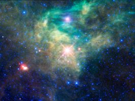 বিজ্ঞানের মজার তথ্য