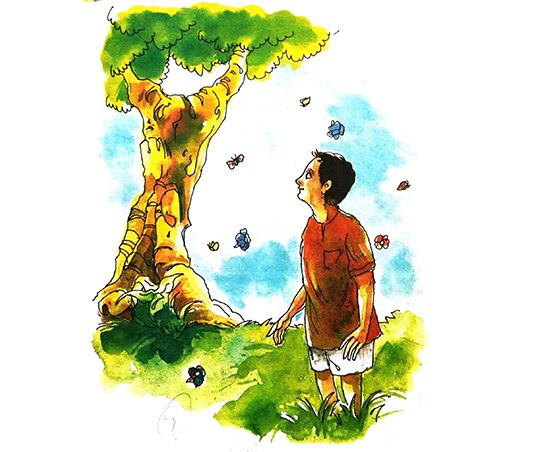 বেণুর সংসার