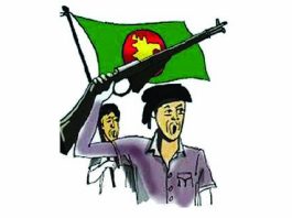 বিজয় নিশান