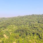 ১৯ বনকর্মীকে টেকনাফের পাহাড় থেকে অপহরণ