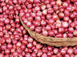 আড়তে পেঁয়াজ ৭০ টাকা, কমছে খুচরায়ও