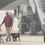 পাকিস্তানি নম্বর থেকে বিমানে বোমা হামলার বার্তা আসে