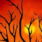 বইয়ের খবর, লেখকের খবর, মেলার খবর