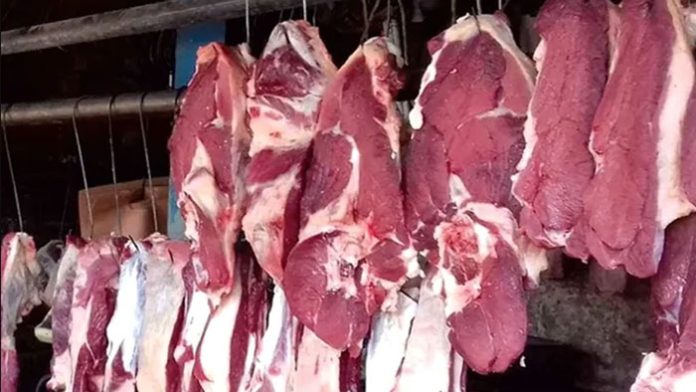 cow-2502161353 (1)