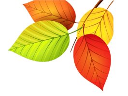 ছড়া ও কবিতা