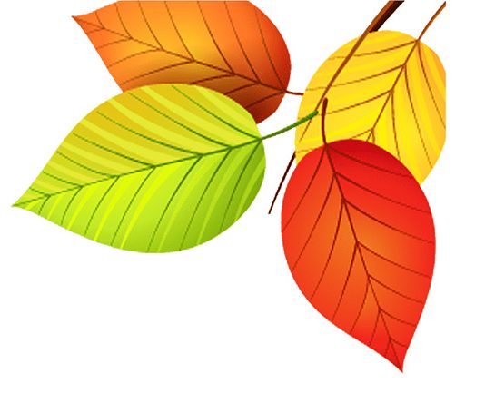 ছড়া ও কবিতা