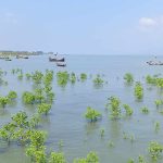 টেকনাফে নৌকাডুবি: নিখোঁজ বিজিবি সদস্য বেলালের মরদেহ উদ্ধার