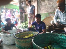 পর্যাপ্ত ফলনেও বাজারে লেবুর ‘সংকট’