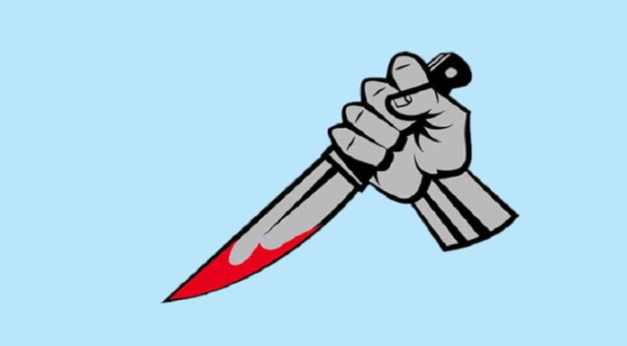 1745569146.image-2203