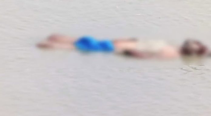 1745912819.dead body