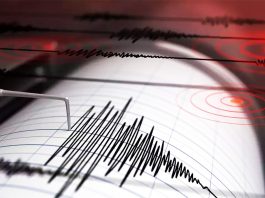 রাজধানীসহ বিভিন্ন এলাকায় ভূমিকম্প