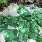 পলিথিন মুক্ত কবে হবে নগরী