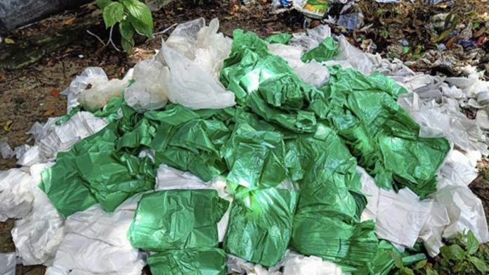polybag_original_1730037702