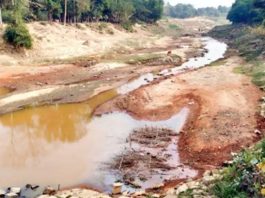 হালদা নিয়ে দুঃসংবাদ : শুকিয়ে যাচ্ছে নদী