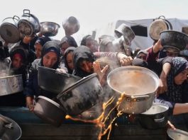 যুদ্ধ ও ক্ষুধায় ম্লান গাজাবাসীর কোরবানির ঈদ