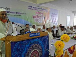 দলের চেয়ে দেশের স্বার্থকে প্রাধান্য দিতে হবে: গোলাম পরওয়ার