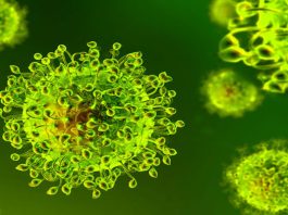 চট্টগ্রামে করোনায় আরও ২ জনের মৃত্যু, ২৪ ঘণ্টায় শনাক্ত ৪ জন