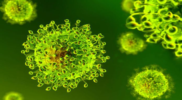 1750668124.coronavirus bg