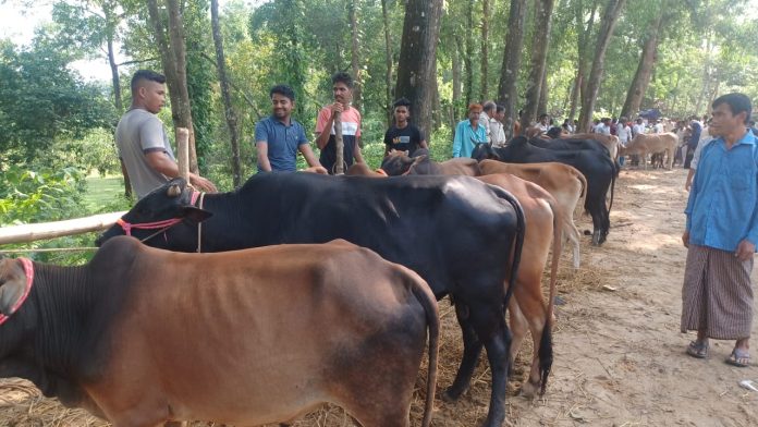 3e053c78-f2e5-4165-8b9a-5ddfd18d7a94