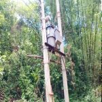 পাঁচদিন ধরে রাজস্থলীর কদুমছড়া এলাকা বিদ্যুৎ বিচ্ছিন্ন