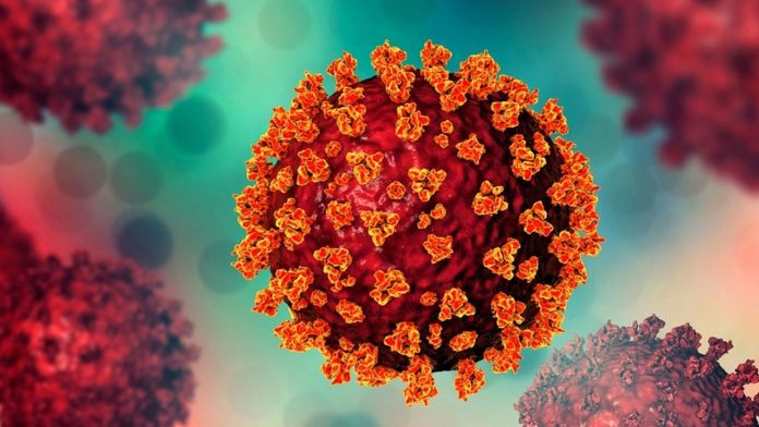 corona-20250615190509-20250621144527