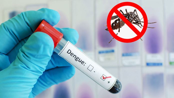 dengue