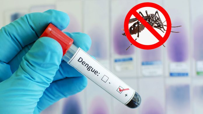 dp-dengue-test--20250629171501