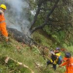 ভারতে ফের হেলিকপ্টার বিধ্বস্ত, নিহত অন্তত ৭