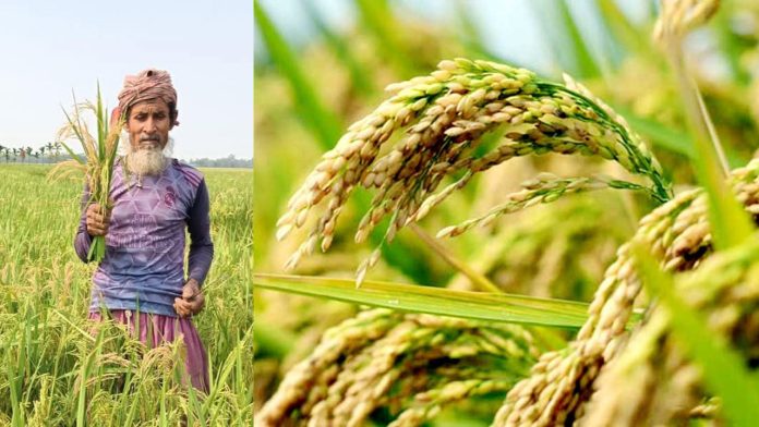 krishi-helpline-20250625140511