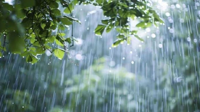 rain-dhaka-20250428100554-20250621115511